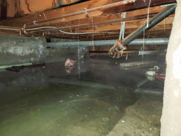  Eagle River, WI Water damage restoration Pros