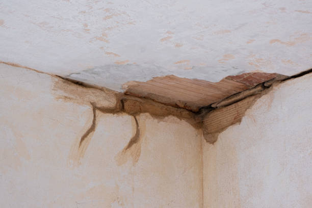 Local water damage restoration in WI