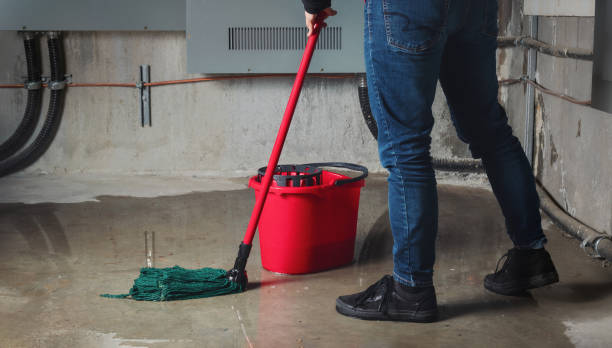 Best Flooded house restoration  in Eagle River, WI