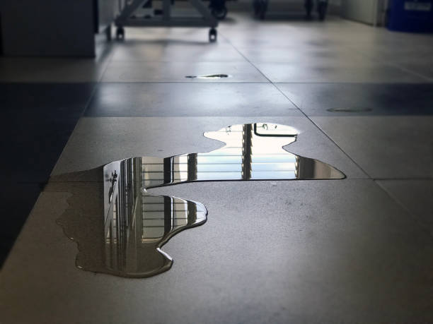 Best Water damage contractors near me  in Eagle River, WI