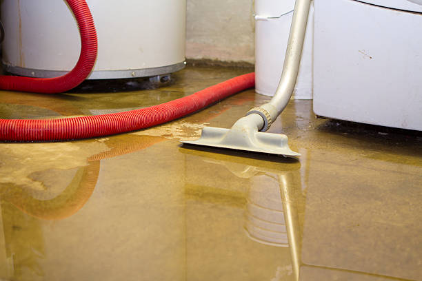 Best Flooded house restoration  in Eagle River, WI