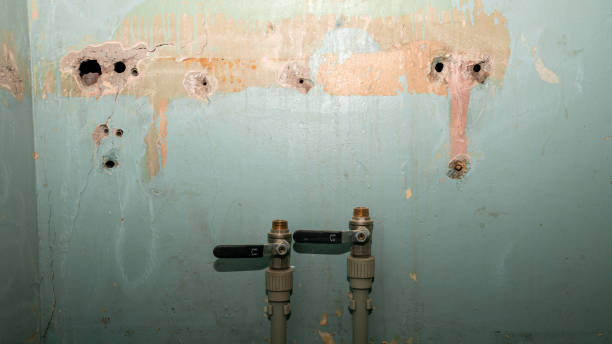 Best Residential water damage restoration  in Eagle River, WI