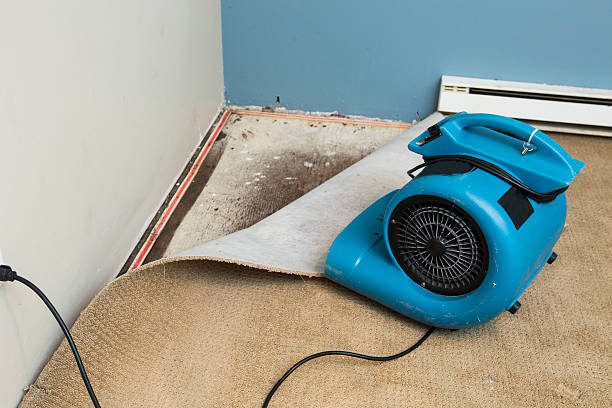 Best Basement water damage restoration  in Eagle River, WI